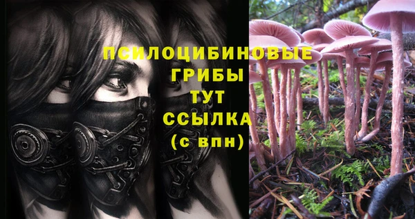 дурь Беломорск